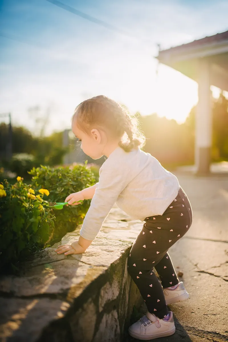 Planting seedlings in the garden